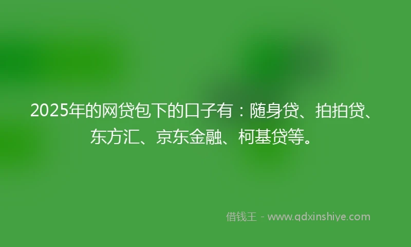 2025年的网贷包下的口子有：随身贷、拍拍贷、东方汇、京东金融、柯基贷等。