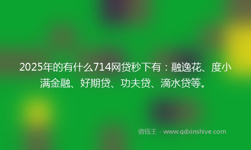 2025年的有什么714网贷秒下有：融逸花、度小满金融、好期贷、功夫贷、滴水贷等。