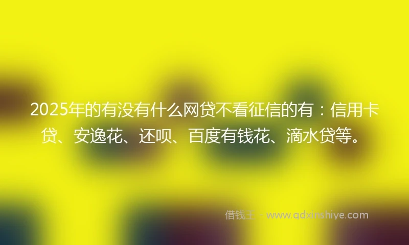2025年的有没有什么网贷不看征信的有：信用卡贷、安逸花、还呗、百度有钱花、滴水贷等。