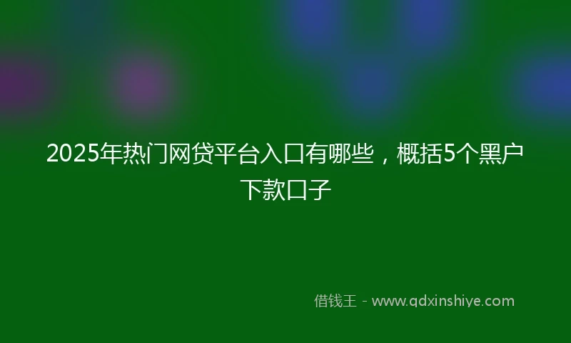 2025年热门网贷平台入口有哪些，概括5个黑户下款口子