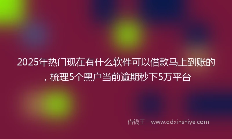 2025年热门现在有什么软件可以借款马上到账的，梳理5个黑户当前逾期秒下5万平台