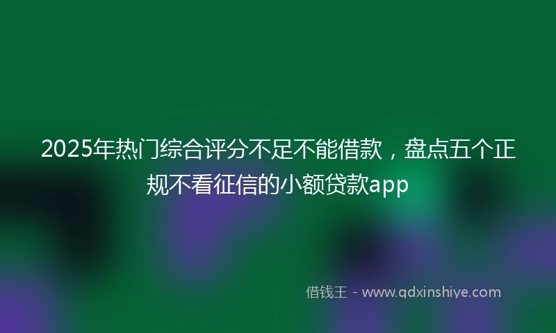 2025年热门综合评分不足不能借款，盘点五个正规不看征信的小额贷款app