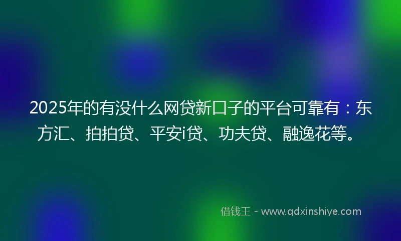 2025年的有没什么网贷新口子的平台可靠有：东方汇、拍拍贷、平安i贷、功夫贷、融逸花等。