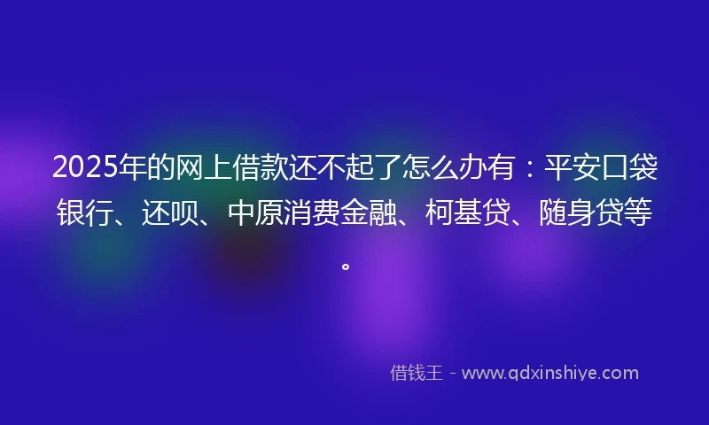 2025年的网上借款还不起了怎么办有：平安口袋银行、还呗、中原消费金融、柯基贷、随身贷等。
