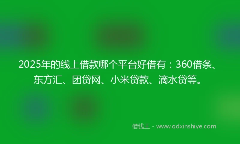 2025年的线上借款哪个平台好借有：360借条、东方汇、团贷网、小米贷款、滴水贷等。