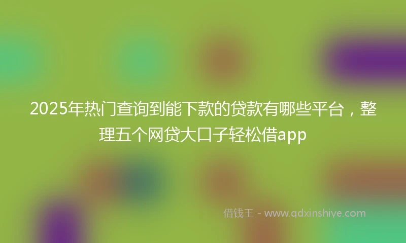 2025年热门查询到能下款的贷款有哪些平台，整理五个网贷大口子轻松借app