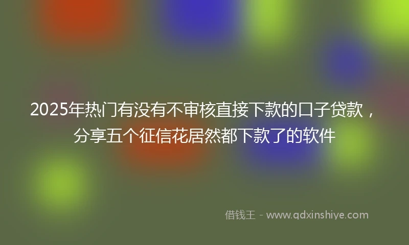 2025年热门有没有不审核直接下款的口子贷款，分享五个征信花居然都下款了的软件