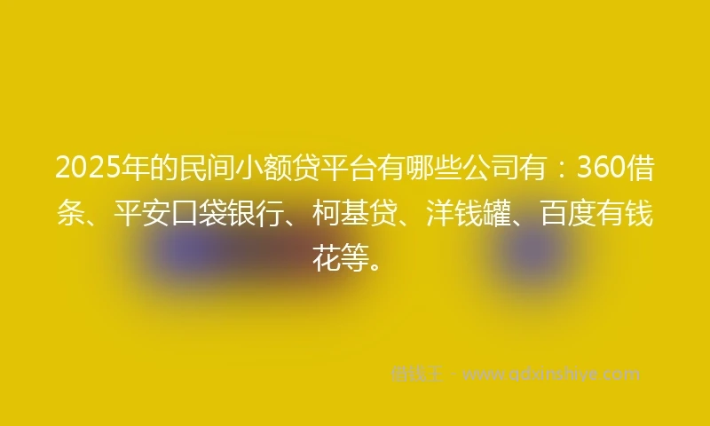 2025年的民间小额贷平台有哪些公司有：360借条、平安口袋银行、柯基贷、洋钱罐、百度有钱花等。