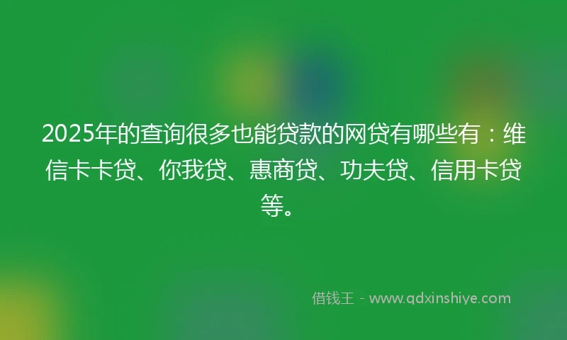 2025年的查询很多也能贷款的网贷有哪些有：维信卡卡贷、你我贷、惠商贷、功夫贷、信用卡贷等。