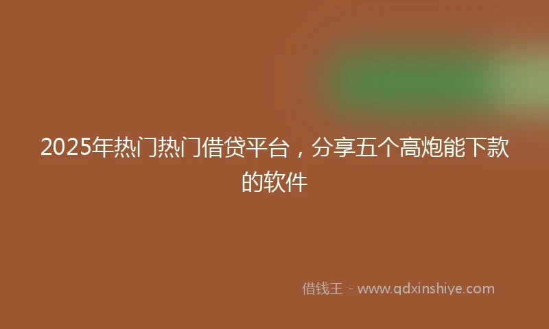 2025年热门热门借贷平台，分享五个高炮能下款的软件