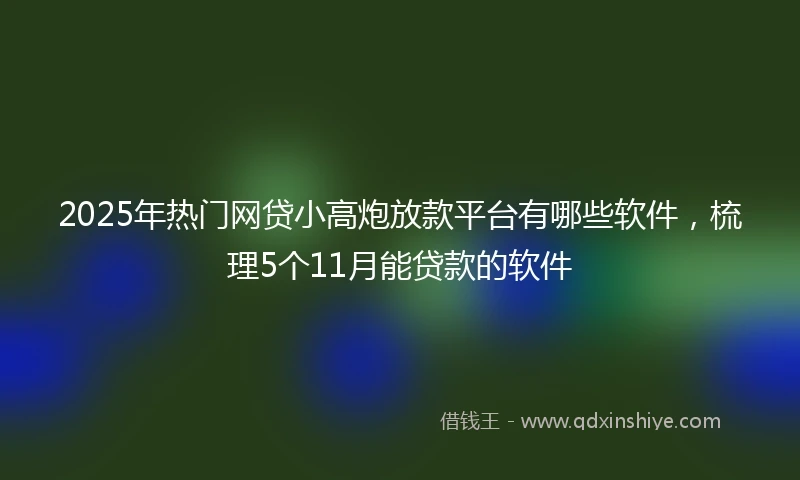 2025年热门网贷小高炮放款平台有哪些软件，梳理5个11月能贷款的软件