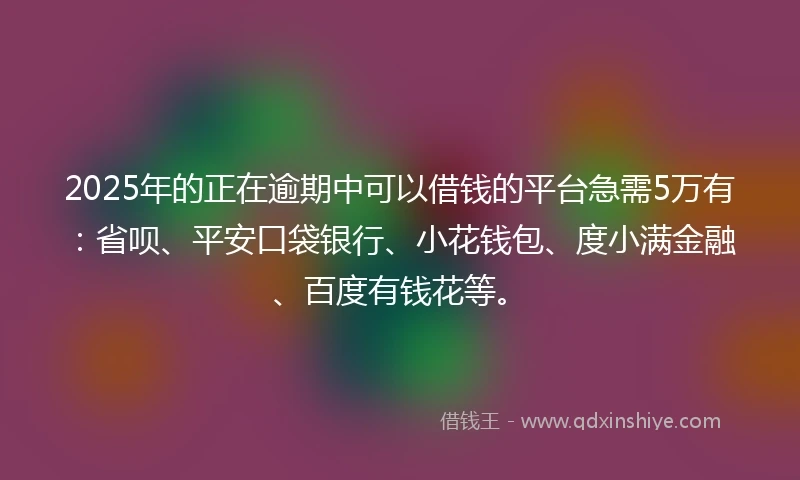 2025年的正在逾期中可以借钱的平台急需5万有：省呗、平安口袋银行、小花钱包、度小满金融、百度有钱花等。