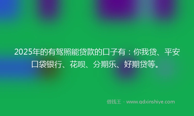 2025年的有驾照能贷款的口子有：你我贷、平安口袋银行、花呗、分期乐、好期贷等。