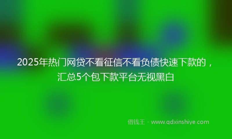 2025年热门网贷不看征信不看负债快速下款的，汇总5个包下款平台无视黑白