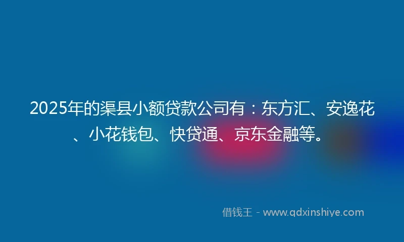 2025年的渠县小额贷款公司有：东方汇、安逸花、小花钱包、快贷通、京东金融等。