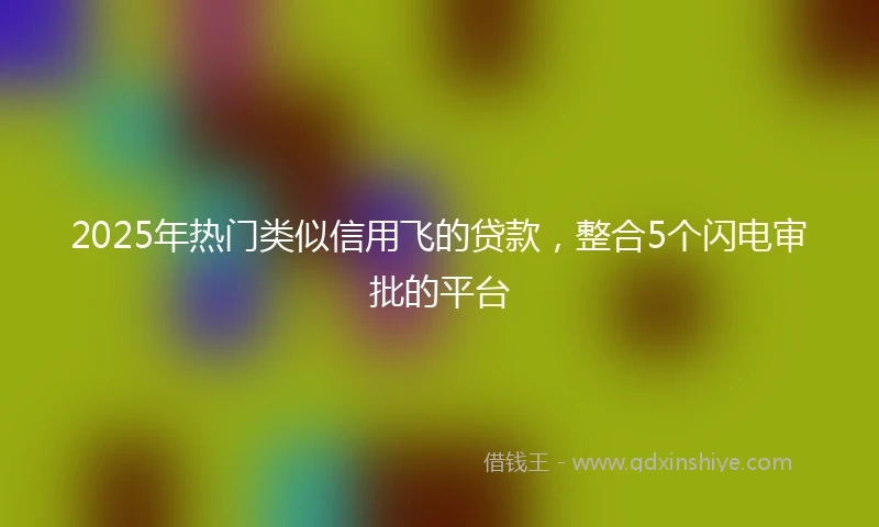 2025年热门类似信用飞的贷款，整合5个闪电审批的平台
