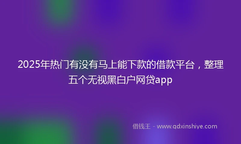 2025年热门有没有马上能下款的借款平台，整理五个无视黑白户网贷app
