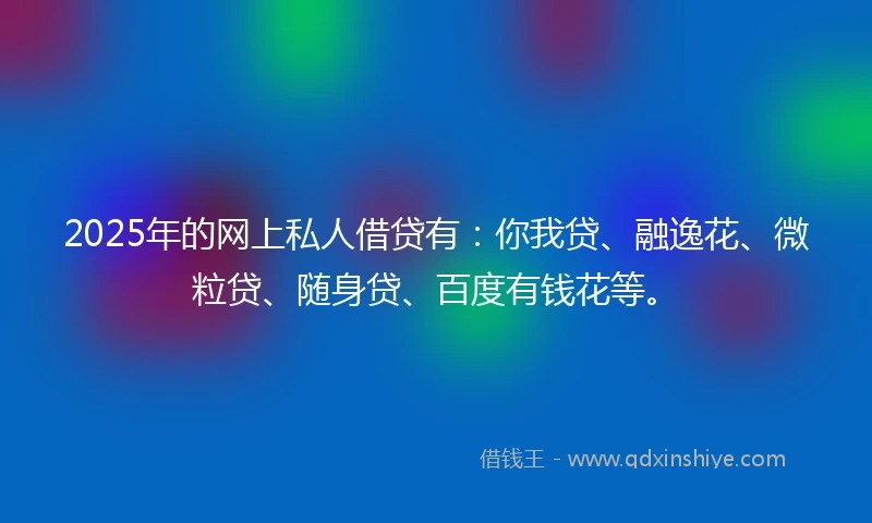 2025年的网上私人借贷有：你我贷、融逸花、微粒贷、随身贷、百度有钱花等。