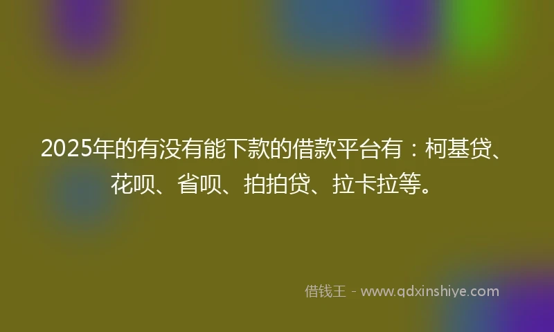 2025年的有没有能下款的借款平台有：柯基贷、花呗、省呗、拍拍贷、拉卡拉等。