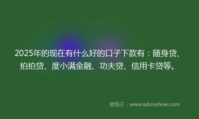 2025年的现在有什么好的口子下款有：随身贷、拍拍贷、度小满金融、功夫贷、信用卡贷等。