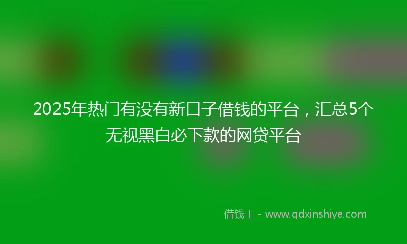 2025年热门有没有新口子借钱的平台，汇总5个无视黑白必下款的网贷平台