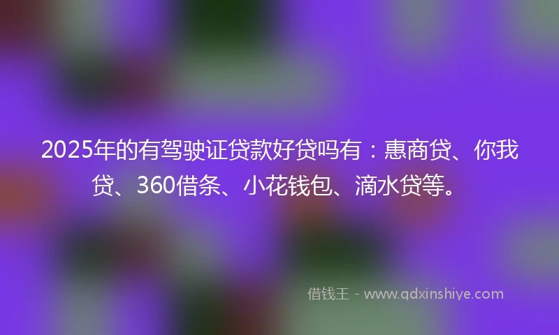 2025年的有驾驶证贷款好贷吗有：惠商贷、你我贷、360借条、小花钱包、滴水贷等。