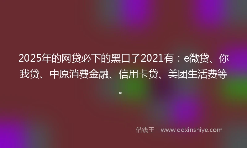 2025年的网贷必下的黑口子2021有：e微贷、你我贷、中原消费金融、信用卡贷、美团生活费等。