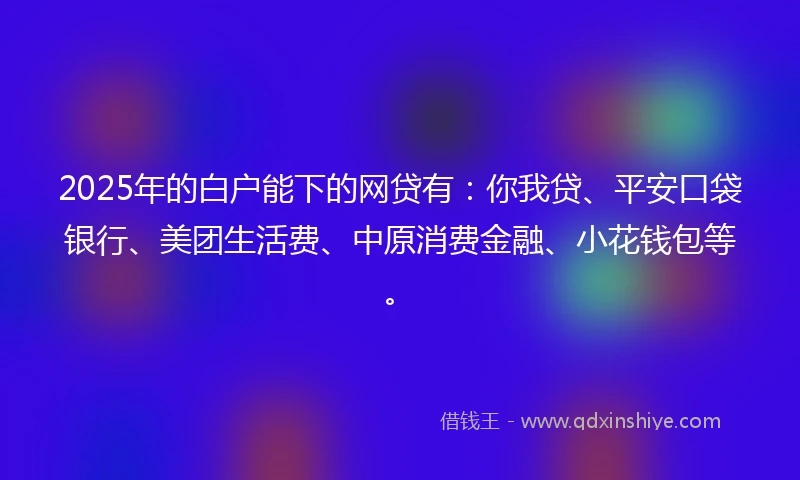 2025年的白户能下的网贷有：你我贷、平安口袋银行、美团生活费、中原消费金融、小花钱包等。