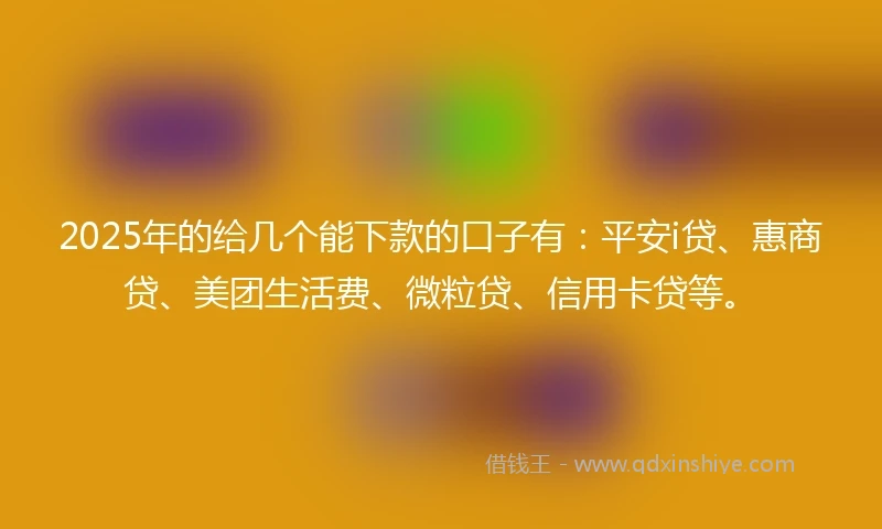 2025年的给几个能下款的口子有：平安i贷、惠商贷、美团生活费、微粒贷、信用卡贷等。