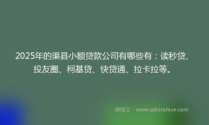 2025年的渠县小额贷款公司有哪些有：读秒贷、投友圈、柯基贷、快贷通、拉卡拉等。