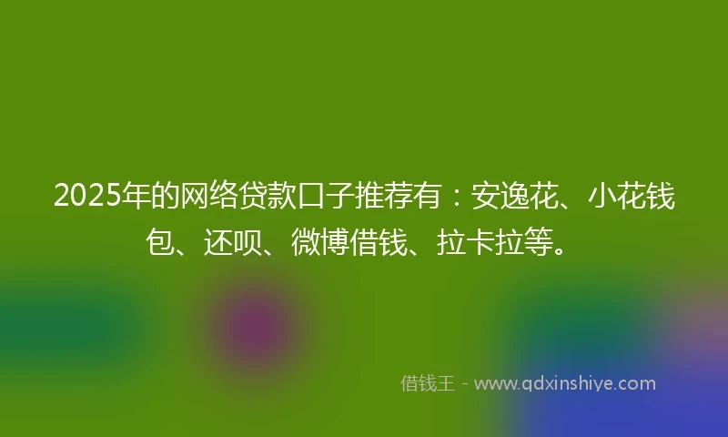 2025年的网络贷款口子推荐有：安逸花、小花钱包、还呗、微博借钱、拉卡拉等。