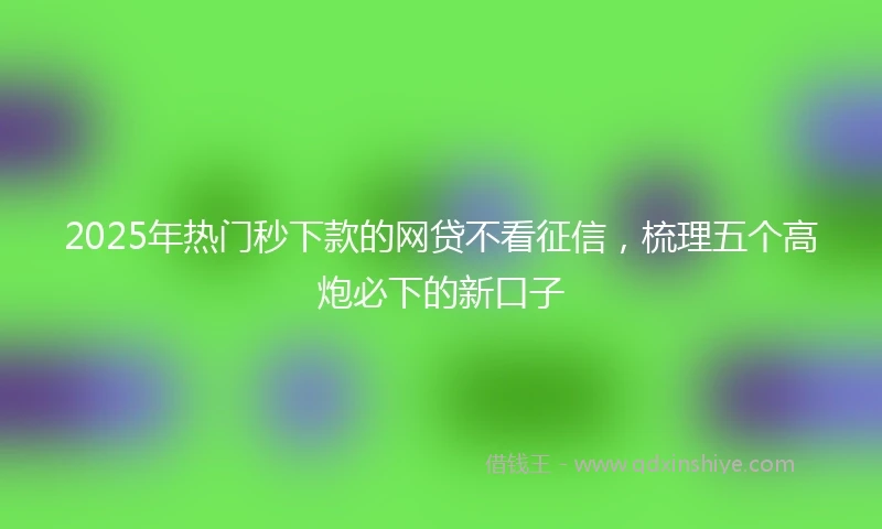 2025年热门秒下款的网贷不看征信，梳理五个高炮必下的新口子