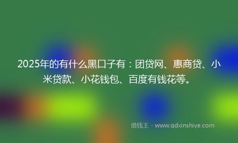 2025年的有什么黑口子有：团贷网、惠商贷、小米贷款、小花钱包、百度有钱花等。