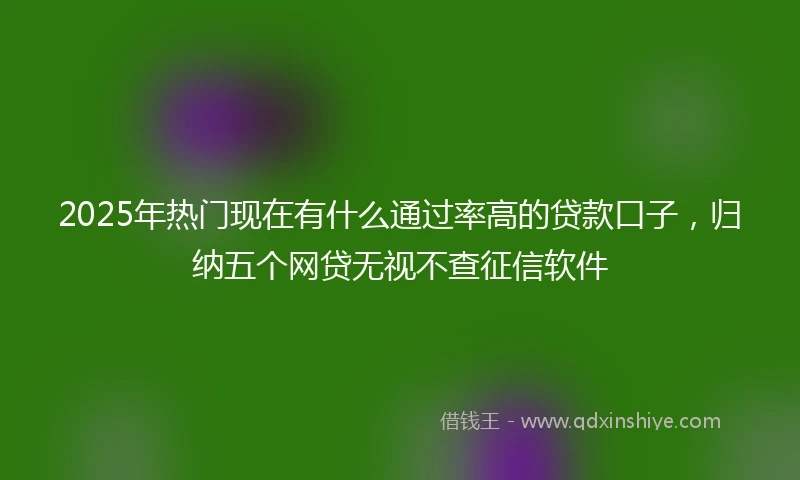 2025年热门现在有什么通过率高的贷款口子，归纳五个网贷无视不查征信软件