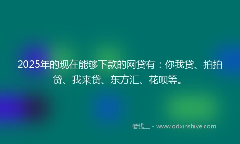 2025年的现在能够下款的网贷有：你我贷、拍拍贷、我来贷、东方汇、花呗等。