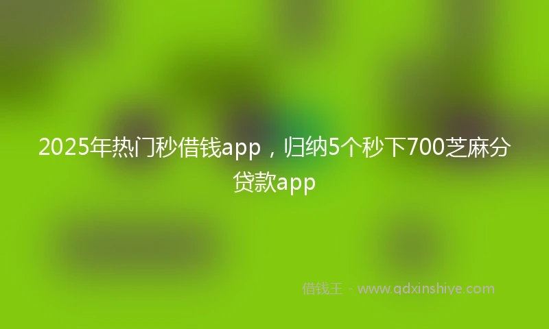 2025年热门秒借钱app，归纳5个秒下700芝麻分贷款app