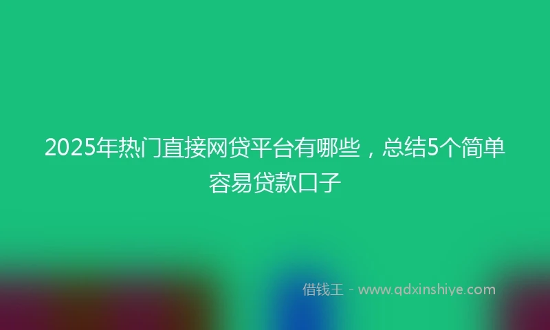 2025年热门直接网贷平台有哪些，总结5个简单容易贷款口子
