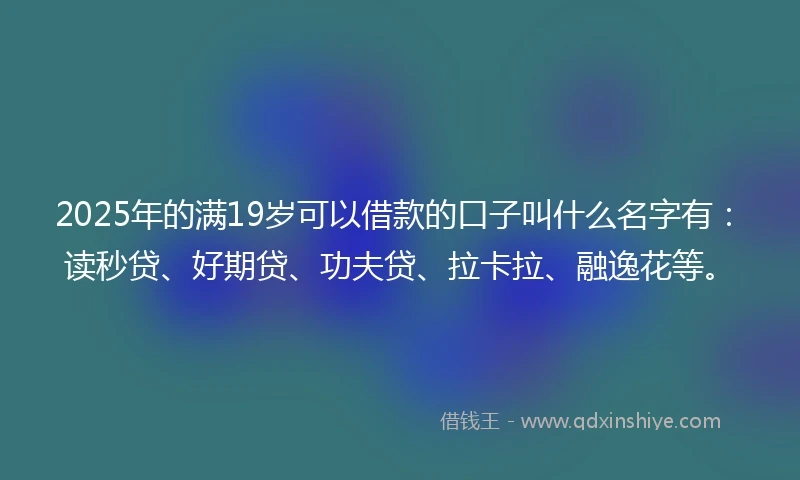 2025年的满19岁可以借款的口子叫什么名字有：读秒贷、好期贷、功夫贷、拉卡拉、融逸花等。