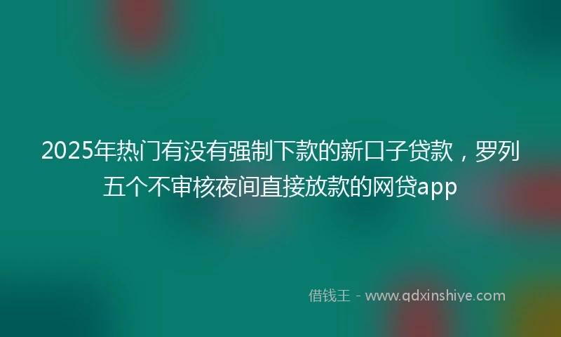 2025年热门有没有强制下款的新口子贷款，罗列五个不审核夜间直接放款的网贷app