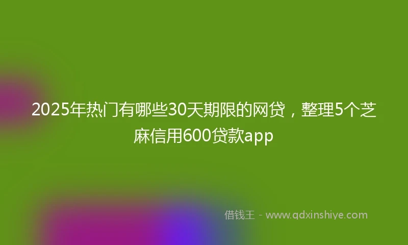 2025年热门有哪些30天期限的网贷，整理5个芝麻信用600贷款app
