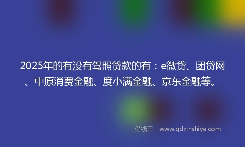 2025年的有没有驾照贷款的有：e微贷、团贷网、中原消费金融、度小满金融、京东金融等。
