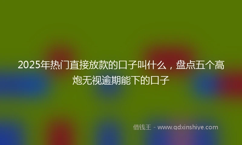 2025年热门直接放款的口子叫什么，盘点五个高炮无视逾期能下的口子