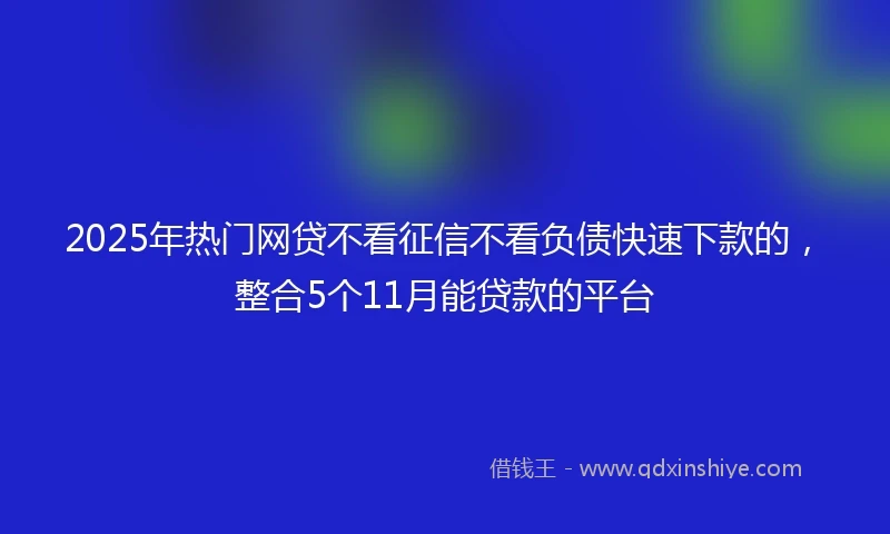 2025年热门网贷不看征信不看负债快速下款的，整合5个11月能贷款的平台