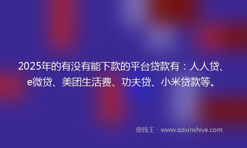 2025年的有没有能下款的平台贷款有：人人贷、e微贷、美团生活费、功夫贷、小米贷款等。