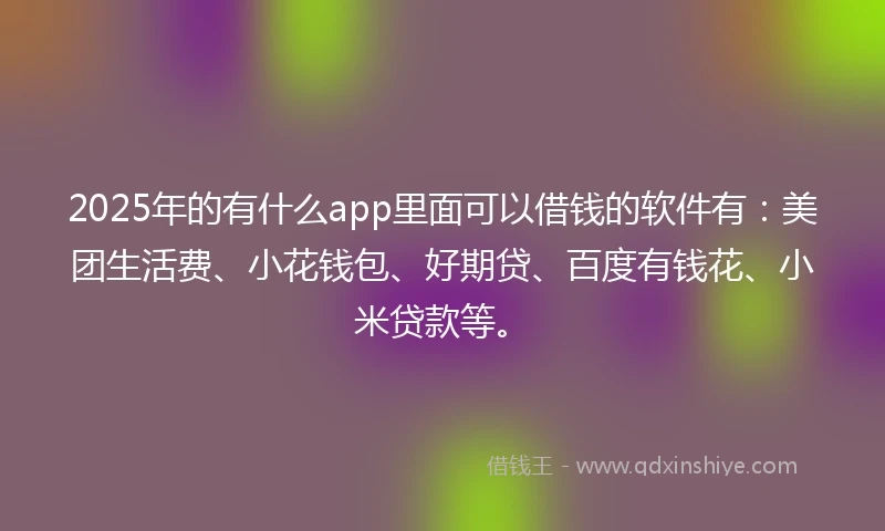 2025年的有什么app里面可以借钱的软件有：美团生活费、小花钱包、好期贷、百度有钱花、小米贷款等。
