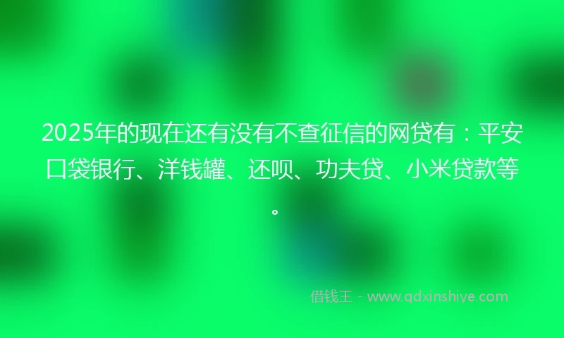 2025年的现在还有没有不查征信的网贷有：平安口袋银行、洋钱罐、还呗、功夫贷、小米贷款等。