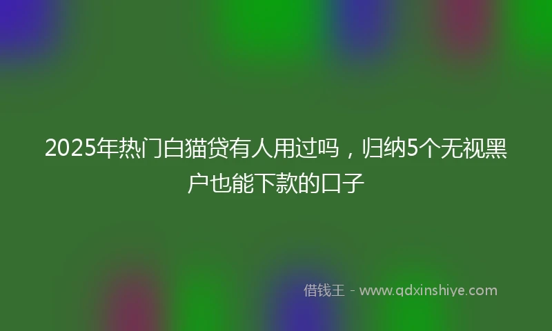 2025年热门白猫贷有人用过吗，归纳5个无视黑户也能下款的口子