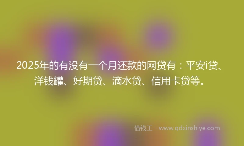 2025年的有没有一个月还款的网贷有：平安i贷、洋钱罐、好期贷、滴水贷、信用卡贷等。