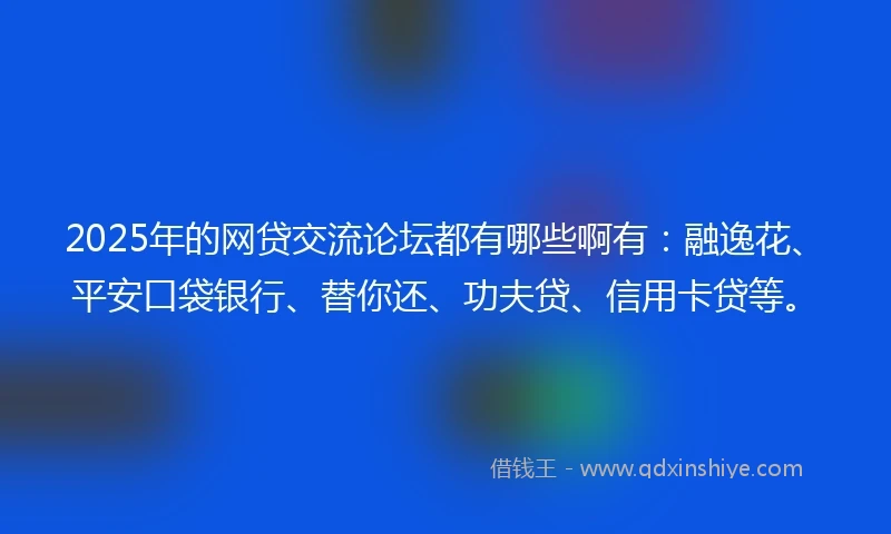 2025年的网贷交流论坛都有哪些啊有：融逸花、平安口袋银行、替你还、功夫贷、信用卡贷等。