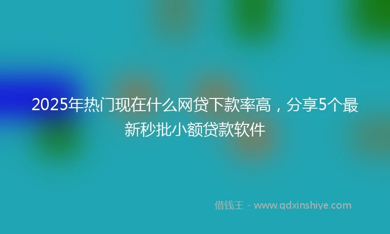 2025年热门现在什么网贷下款率高，分享5个最新秒批小额贷款软件